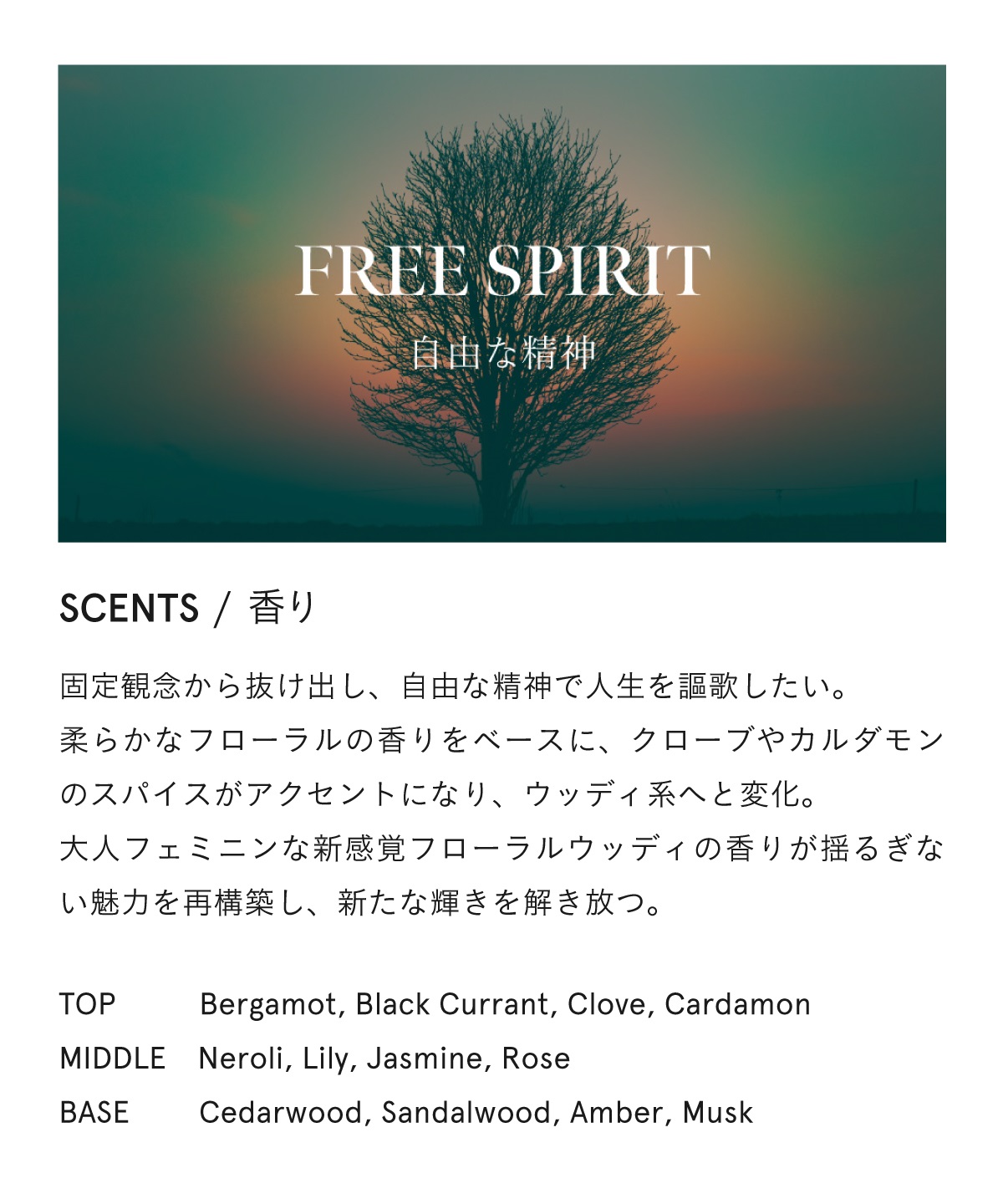 商品詳細ページ | SINN PURETE（シン ピュルテ）公式オンラインストア