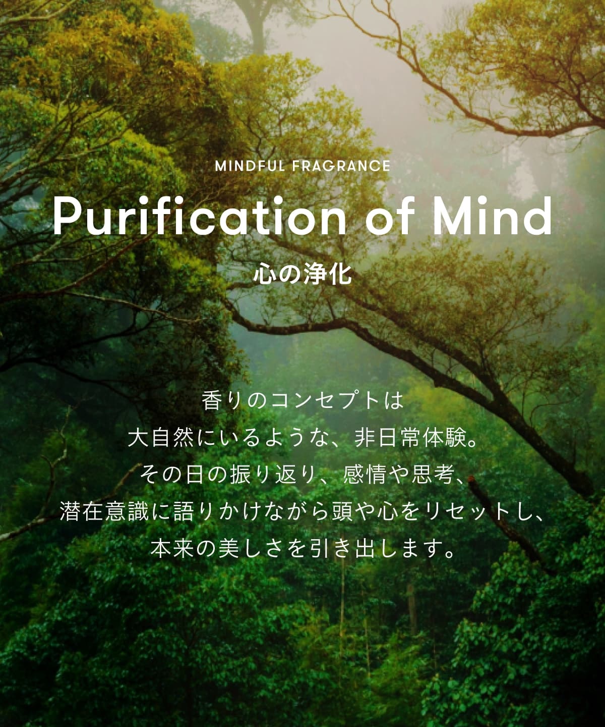 商品詳細ページ | SINN PURETE（シン ピュルテ）公式オンラインストア