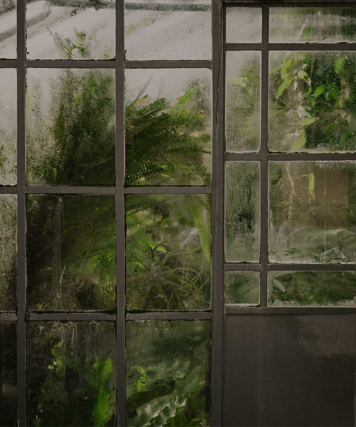 商品詳細ページ ミントさん専用Eシャンプーレフィル4+Eパウダー1