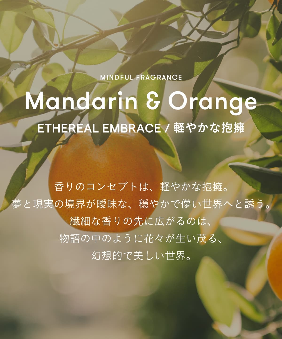 ワンエン 玲 プロデュース 香水（REI | ONE N
