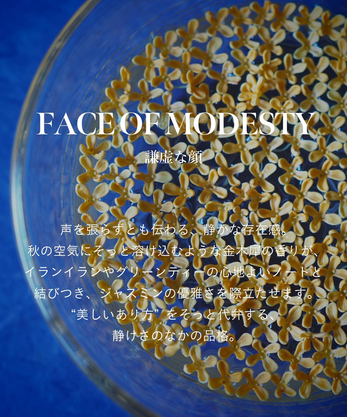 商品詳細ページ | SINN PURETE（シン ピュルテ）公式オンラインストア