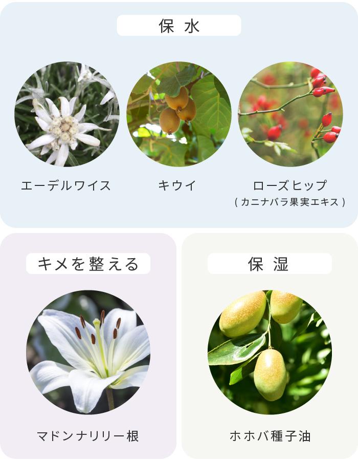 scerum