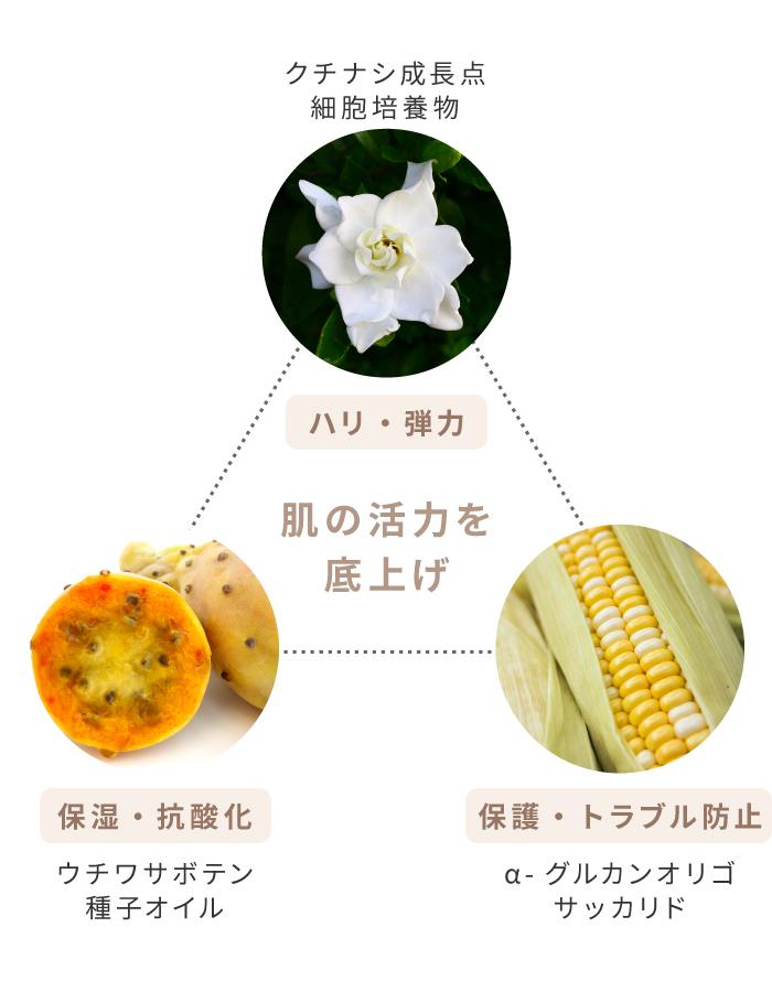 sceram
