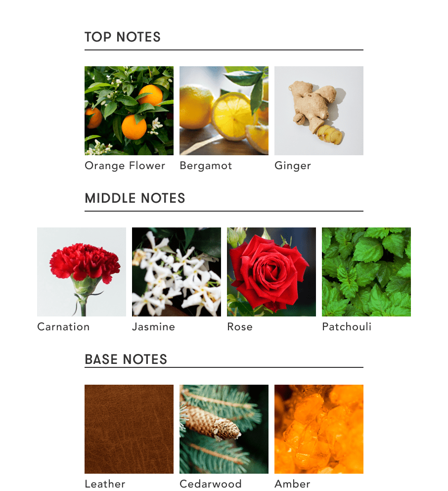 FRAGRANCE PYRAMID