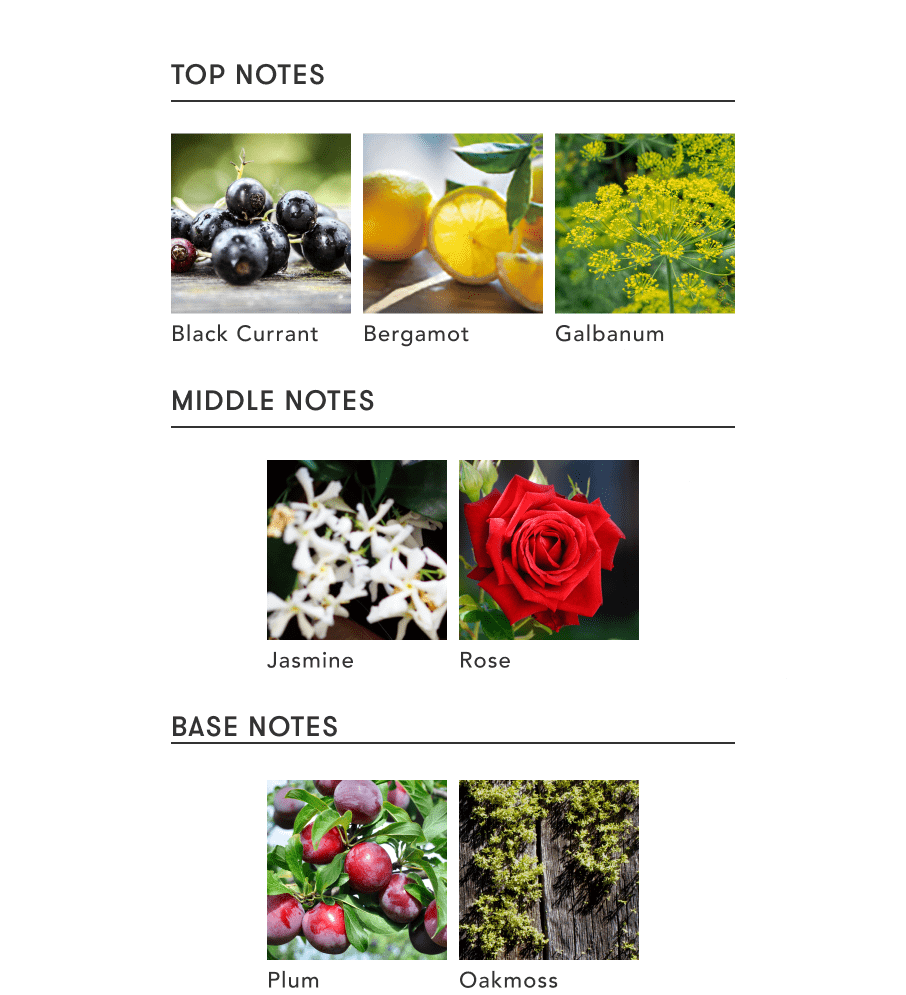 FRAGRANCE PYRAMID