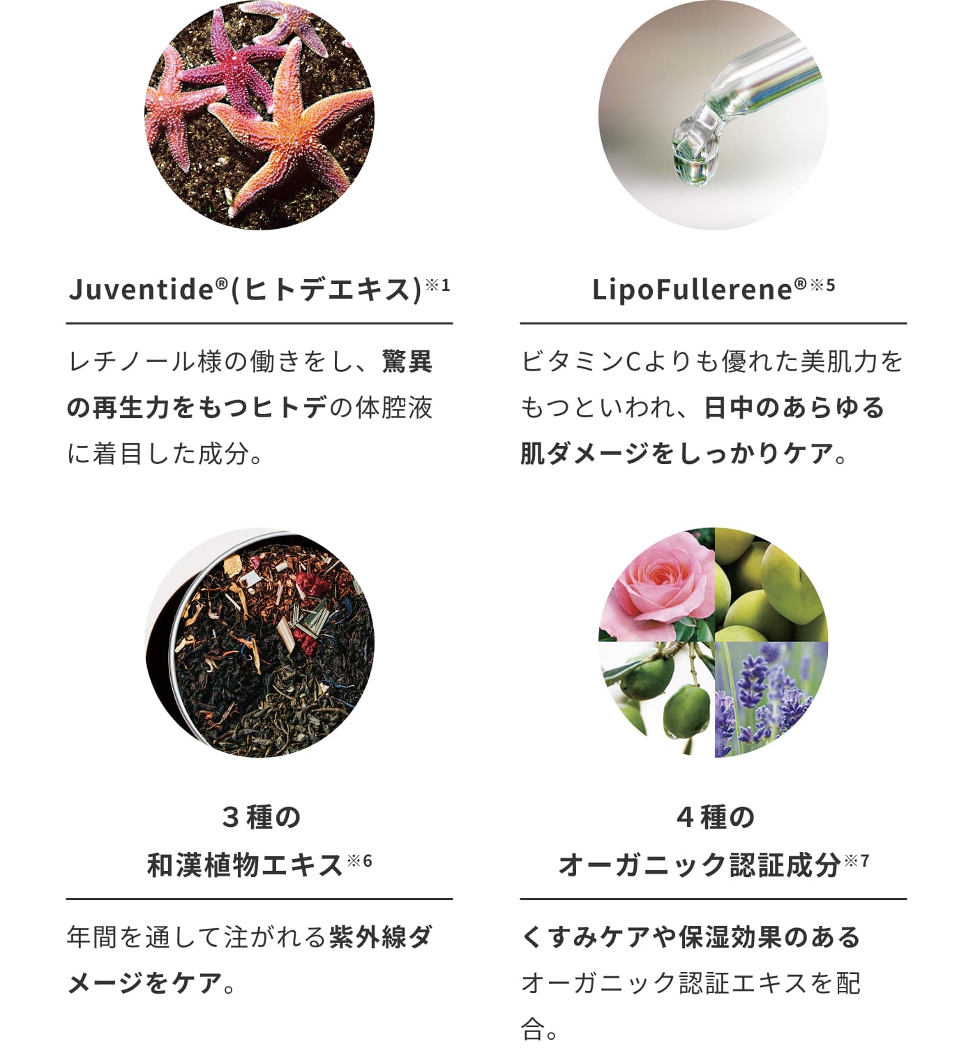 KEY INGREDIENTS