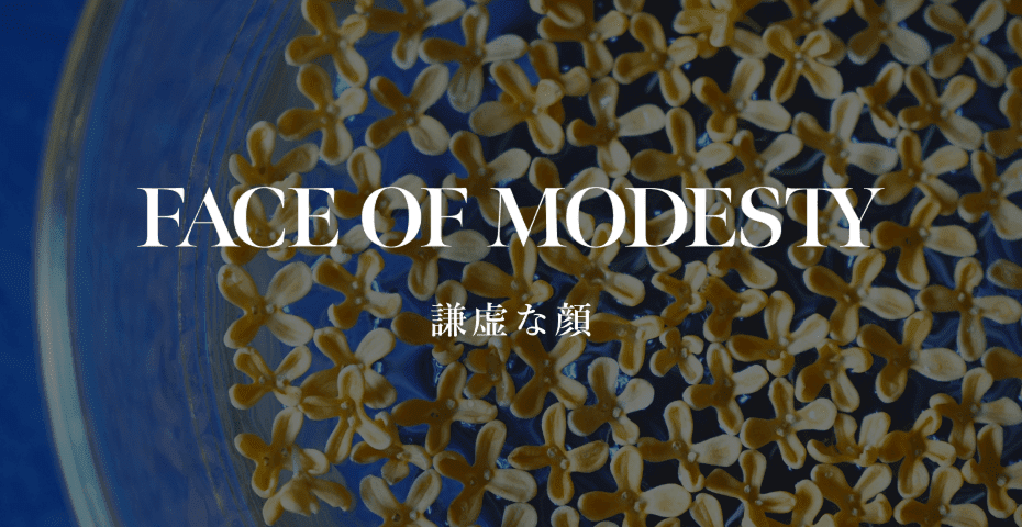 FACE OF MODESTY