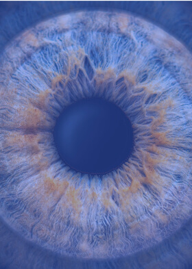 THE EVIL EYE