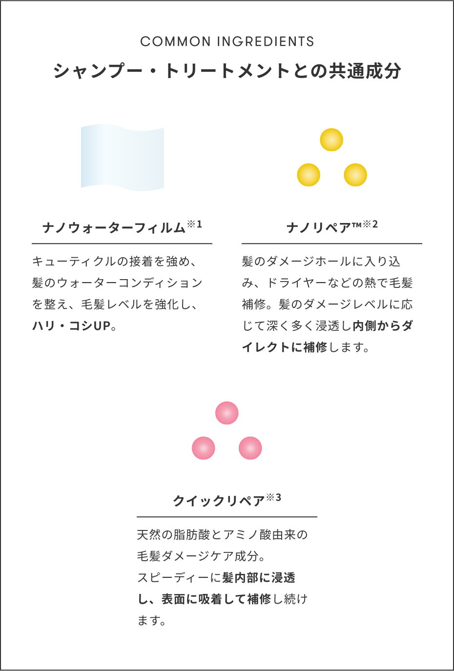 シャンプー・トリートメントとの共通成分