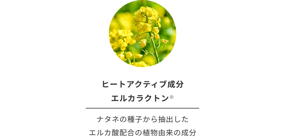 ヒートアクティブ成分