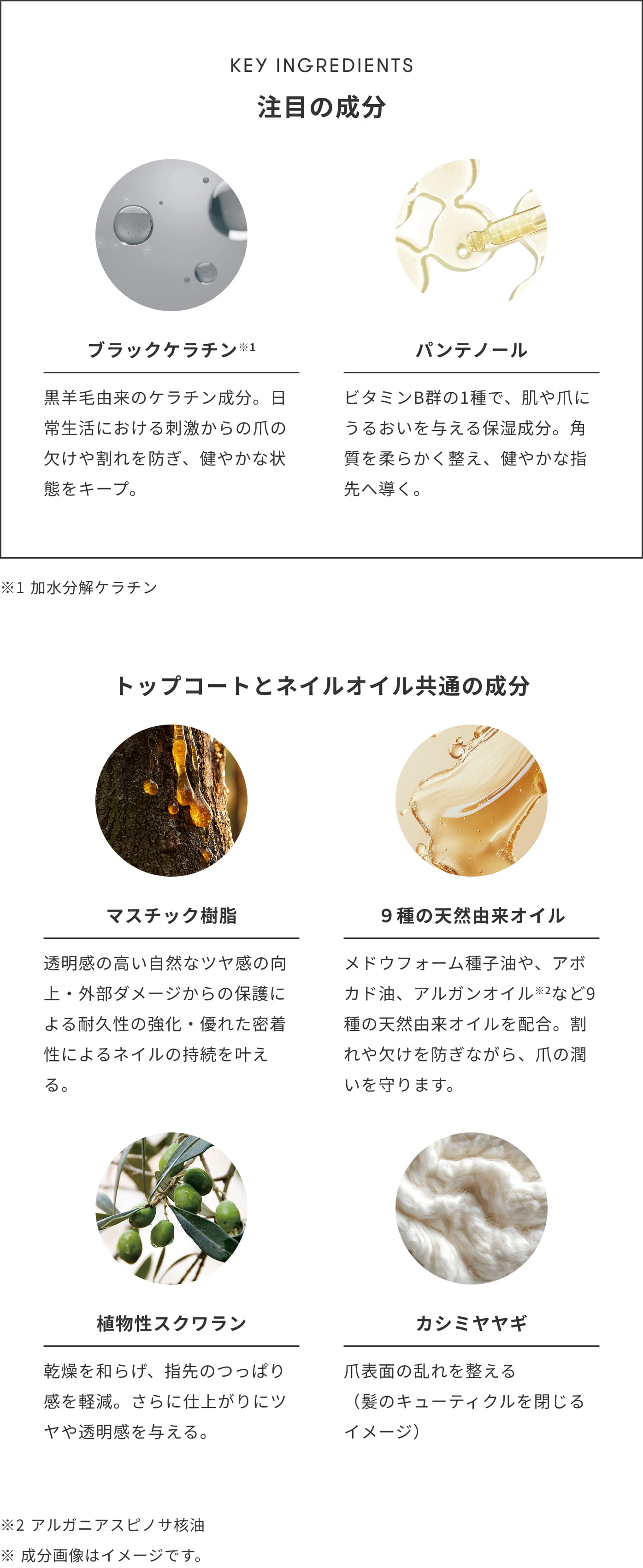 商品詳細ページ | SINN PURETE（シン ピュルテ）公式オンラインストア