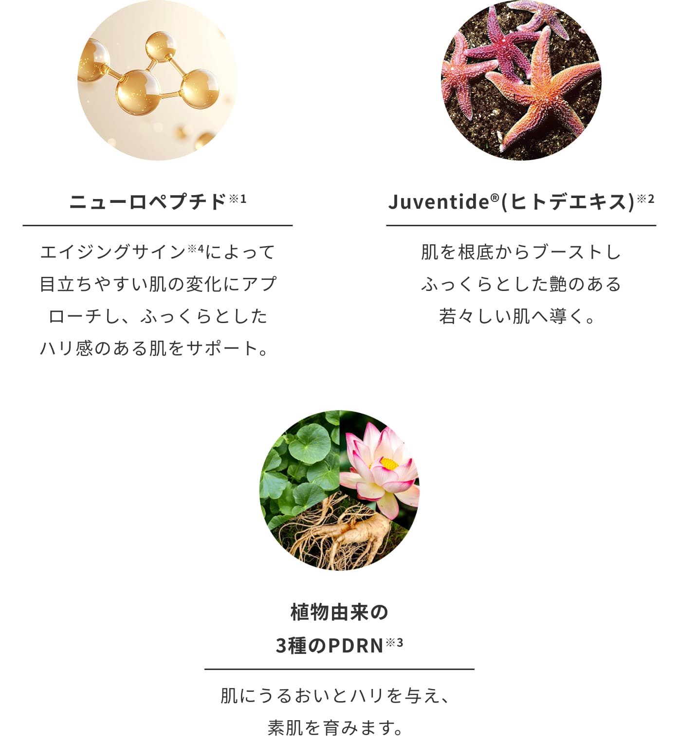 美容液前のハリケアを叶える処方設計